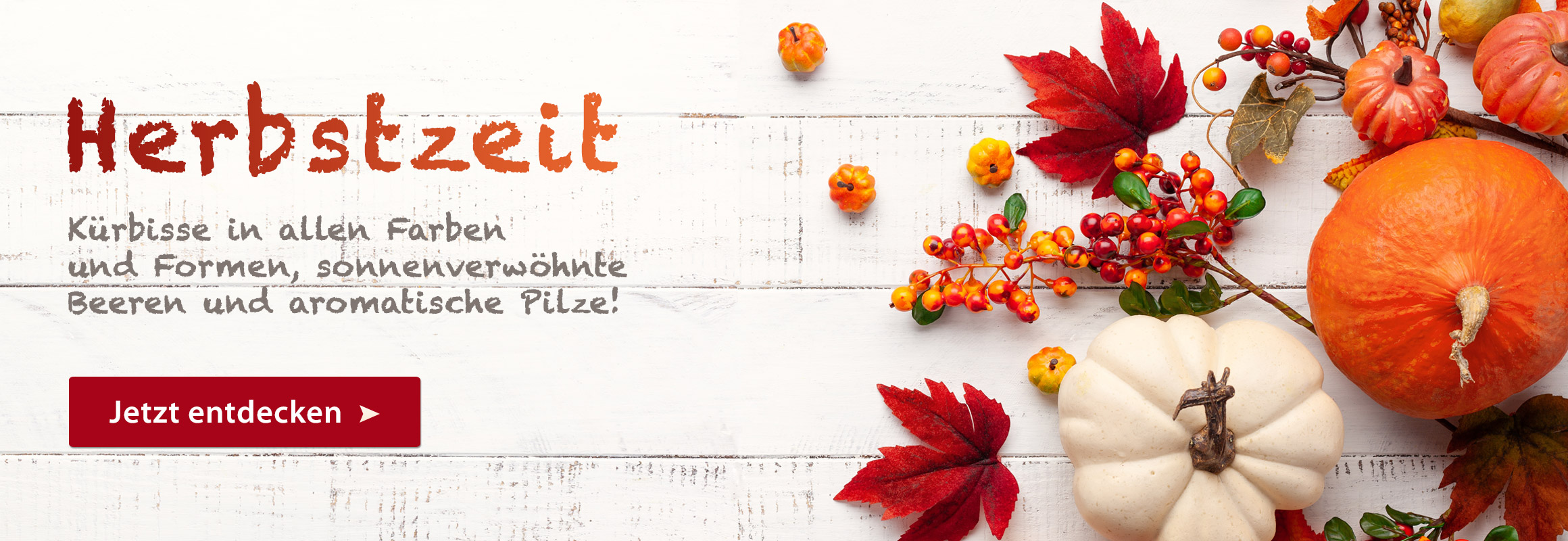 Banner für Herbstzeit